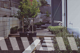 Melbourne, Melbourne Metropolitan, Melbourne Eastern Suburbs, Melbourne Western Suburbs, Melbourne Northern Suburbs, Victoria, Vegetation Supply, Vegetation Planting, Tree Planting, Tree, Shrub, Shrub Planting, Grass Supply, Grass Planting, Flower Planting